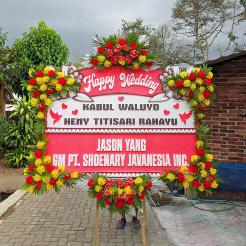 bunga papan (3)